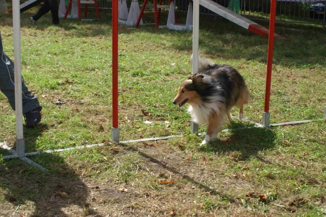 foire-haricots 2011-09-17et18